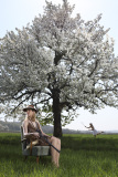 huntingseasons_1